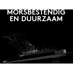Logitech Prodigy G213 Keyboard - 168 Million Colors, Wired US International - Elevate Your Gaming Experience!